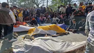 Mass Outrage in Mathura as 40 Cows Found Dead; Protesters Block Road