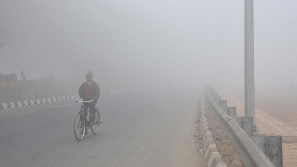 Cold wave grips Rajasthan, visibility less than 30 metres amid dense fog