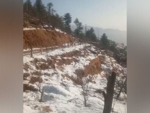 Ready to tackle with any adverse weather situation in Shimla: Deputy Commissioner Shimla Anupam Kashyap