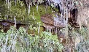 Temperature in 14 cities of Himachal drops below zero