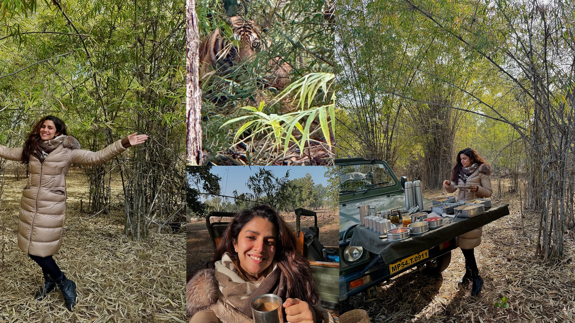 Nimrat Kaur enjoys first breakfast of 2025 surrounded by tigers