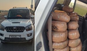 Big action against drugs: 117 kg of Ganja seized in ​​Sonipat, drug smuggler arrested