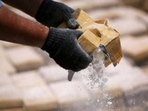 Drugs worth 628 crore seized in 2024 in Assam