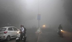 Dense Fog Grips Rajasthan, Visibility Drops to 5 Metres in Sriganganagar; Drivers Face Trouble