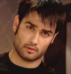 Vivian to Rajat: Top 5 favourites of Bigg Boss 18
