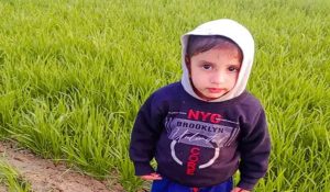 Child dies after falling from moving school van in Palwal