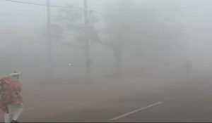 Dense fog in Haryana, visibility zero: Vehicles running with lights and dippers on