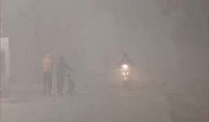 Cold and Dense Fog Grip Haryana, Yellow Alert Issued; Gurugram Govt Office Timings Changed