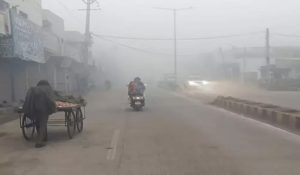 Haryana: Rain alert for 14 districts; bad weather expected till 5 feb