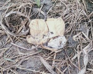 Heroin recovered by BSF