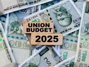 Budget 2025: SBI says govt may introduce new funding methods for infrastructure, disaster pool, sectoral PLIs