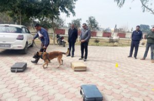K9 helps sniff out narcotics in Haryana