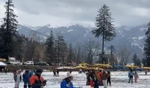 Hailstorm wreaked havoc in last 24 hours; heavy damage to apple, pea crops in Shimla