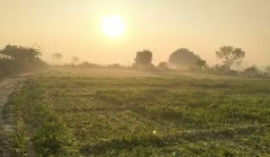 Haryana Heat Intensifies in February as Hisar Crosses 32°C, Western Disturbance to Bring Relief