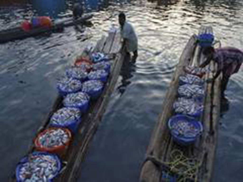 14 Indian fishermen held by Sri Lankan Navy