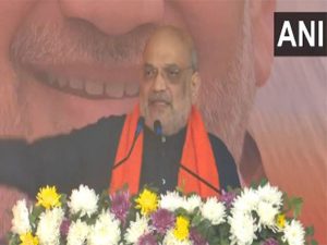 Amit Shah condemns Arvind Keijriwals poisoned Yamuna remarks, calls it a big sin