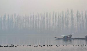 Failure to act now will destroy Dal Lake permanently
