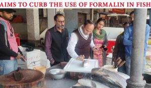 Food Safety department conducts inspection in Jalandhar’s Fish Market