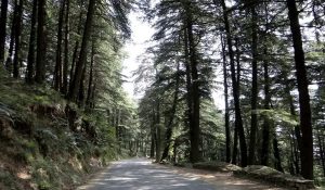 Rs 52 crore sanctioned for road connecting Kufri and Chail