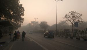Haryana Weather: Maximum Temperatures Cross 30°C, Impacting Rabi Crops