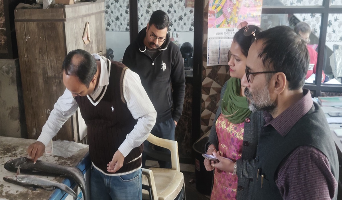 Food Safety officer Check Fish In Jalandhar Market 