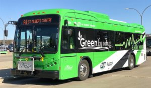 Delhi govt postpones launch of 330 electric buses in mourning of Pope Francis demise