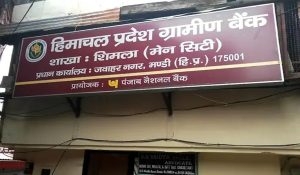Fraud of Rs 6 lakh in Shimla Gramin Bank: Case of taking loan by making fake documents