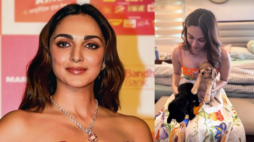 Kiara Advani radiates happiness while playing with puppies during pregnancy