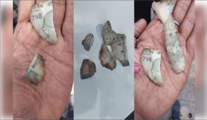 Sanitation worker chances upon burnt Rs-500 notes outside Justice Yashwant Varma’s house in Delhi