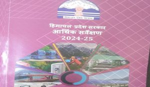 Himachal Pradesh Economic Survey 2024-25: Per capita income increased by 22,430