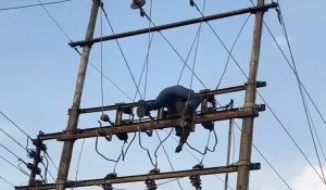 Kangra: Lineman died of electrocution while fixing fuse