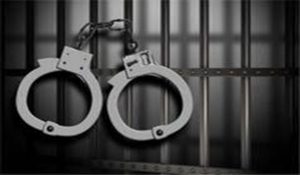 Man held for killing elderly woman in Odisha during robbery bid 