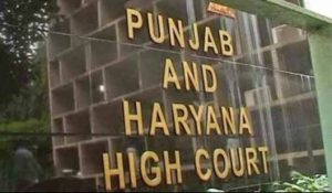 High Court takes serious note of rising dog bites in Punjab and Haryana