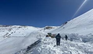 Light Snowfall Likely in Higher Reaches of Himachal Pradesh; Temperatures Rise Across State