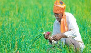Farmers Organiztions in Kaithal to hold one-day hunger strike on March 5