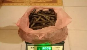 Shimla Police arrests smuggler with 3 kg of hashish during ongoing crackdown on drug trafficking
