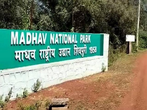 Always at forefront of protecting animals: PM Modi on opening of India’s 58th Tiger Reserve