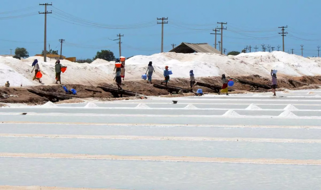 Orange alert issued for Thoothukudi; heavy rains impact salt production, boats docked