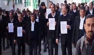Lawyers’ Raj Bhavan march in Shimla: Protest against Advocate Amendment Bill