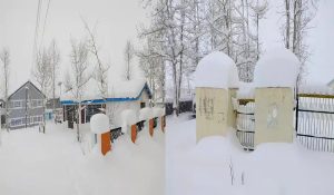 Fresh snowfall in Himachal; Heavy snowfall alert for next 5 days