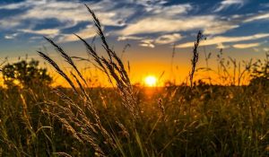 Weather update: Rajasthan Faces Early Summer Heat as Temperatures Rise