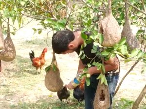 18-year-old creates 150 bird nests to save Sparrows