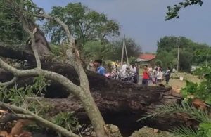 23 dead as rains wreak havoc in Nalanda, 80 deaths reported in Bihar