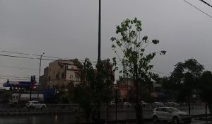 Cloudy weather in Rajasthan, alert issued for rain and hailstorm; temperature drops