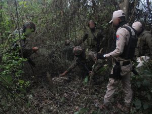 Terrorists spotted near cave in Udhampur forest in J&K, security forces in action