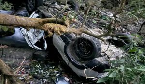 Car falls into 100 meter deep gorge in Shimla; Driver injured