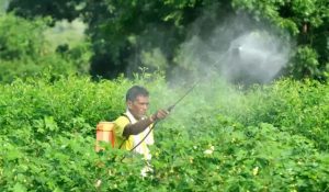 Fertilizer and seed dealers call off strike after 4 days in Hansi