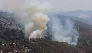 Himachal Forest Fire: 15 incidents reported in last 9 days