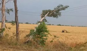 Rain and storm alert in 18 districts of Haryana today