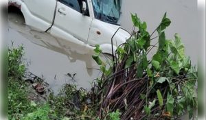Four family members died as SUV plunges into pond in Bihar